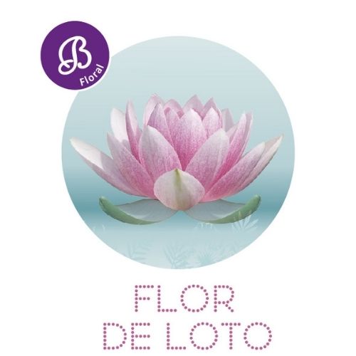 Flor de Loto
